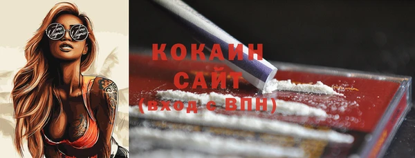 гашик Белокуриха