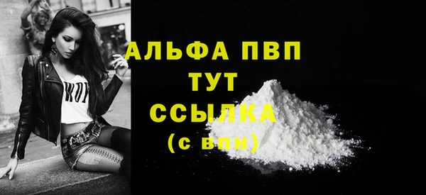 гашик Белокуриха