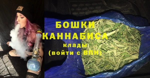 гашик Белокуриха