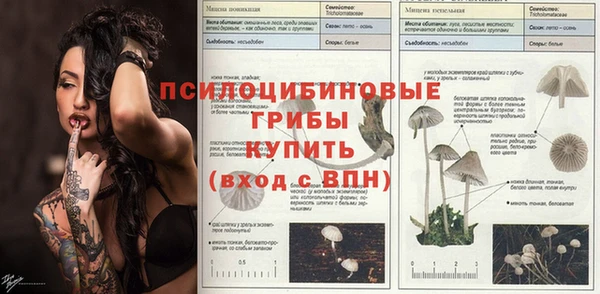 дмт Белоозёрский