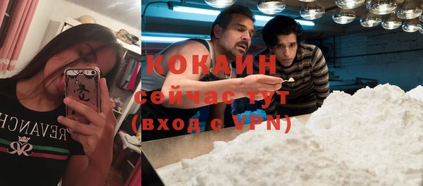 гашик Белокуриха